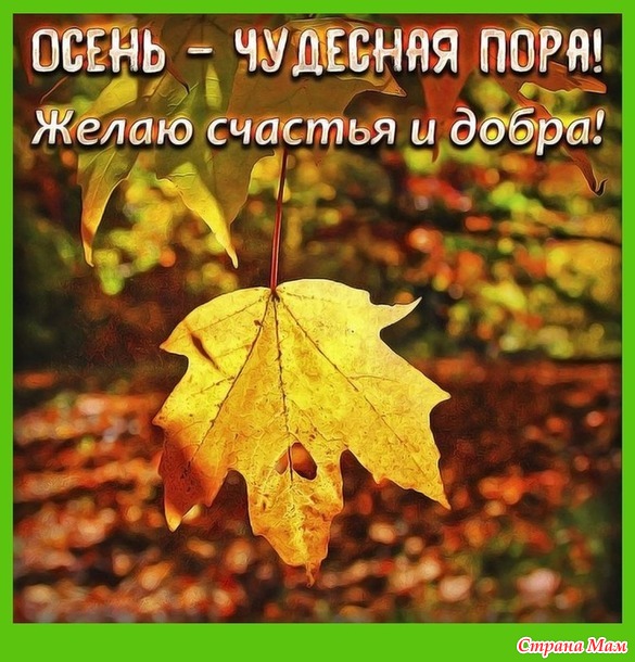 НАПОМИНАЛКА. Конкурс "Подари подарок" №3.