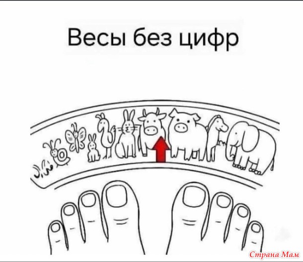          ?  !))