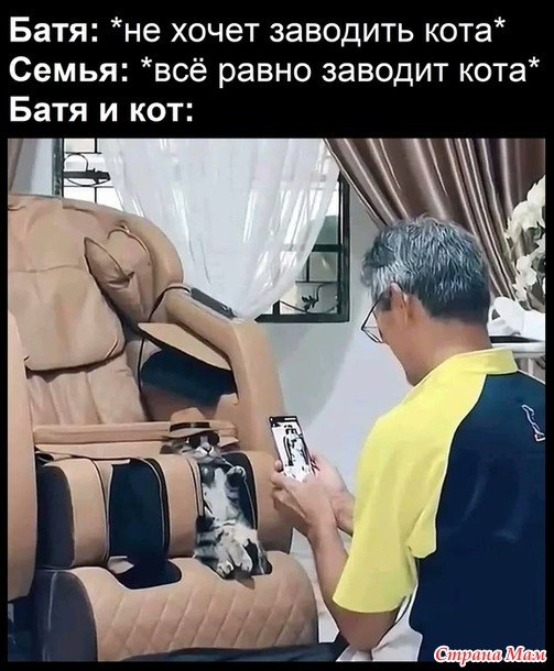     !))