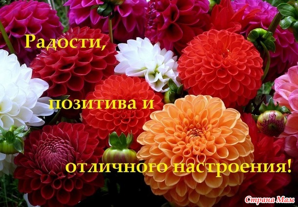 С днём рождения группа "Амигуруми"!