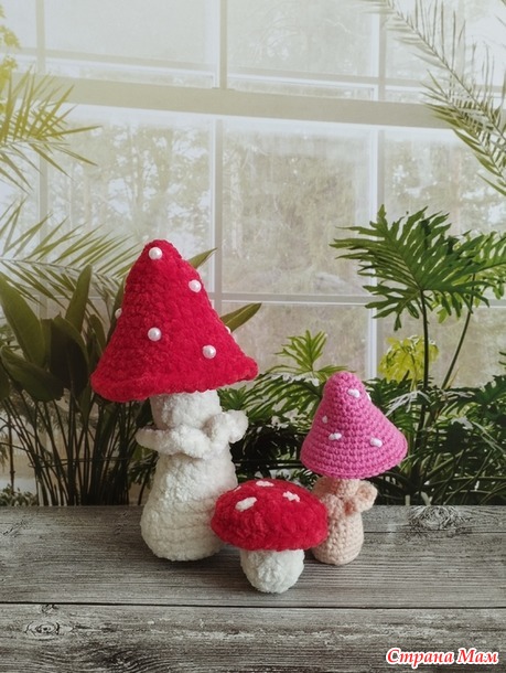 ������� ����. ������� �����. Juliya 80