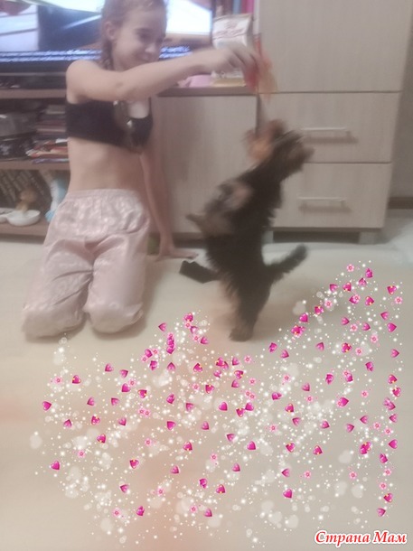 , 13  2025.