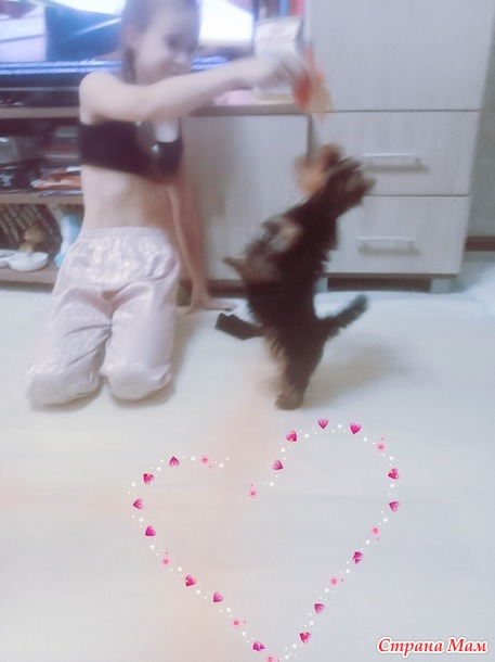 , 13  2025.