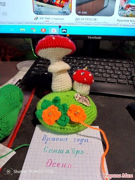 Времена года. Осень. Сентябрь. Игольница по грибы.