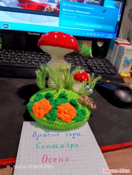 Времена года. Осень. Сентябрь. Игольница по грибы.