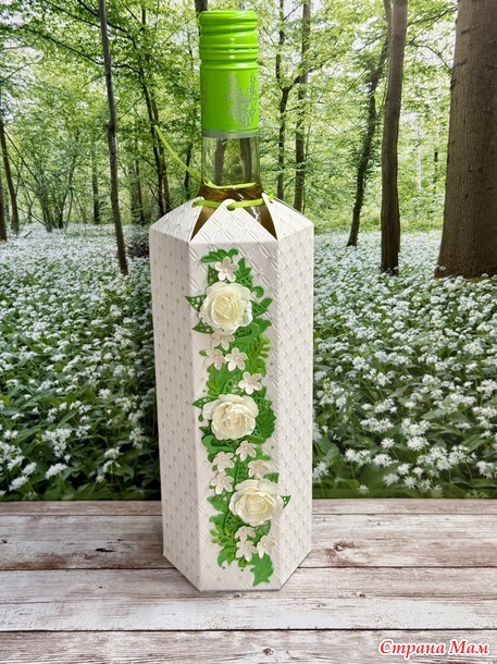 Упаковка для бутылки.