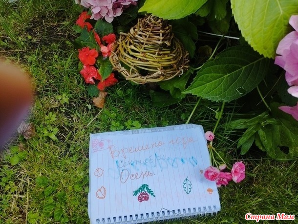 Времена года. Сентябрь. Гриб из лозы