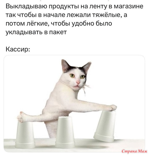      ))