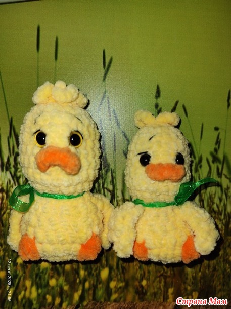 ���������-���������� ����� 2025