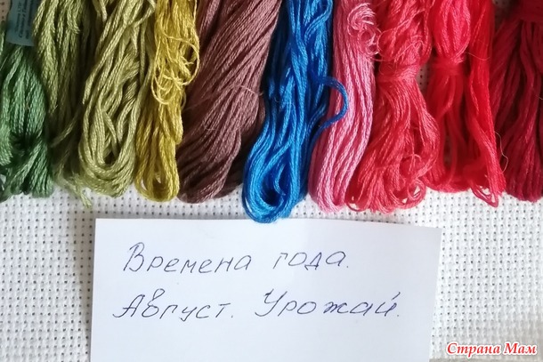 Времена года. Август. Вишни