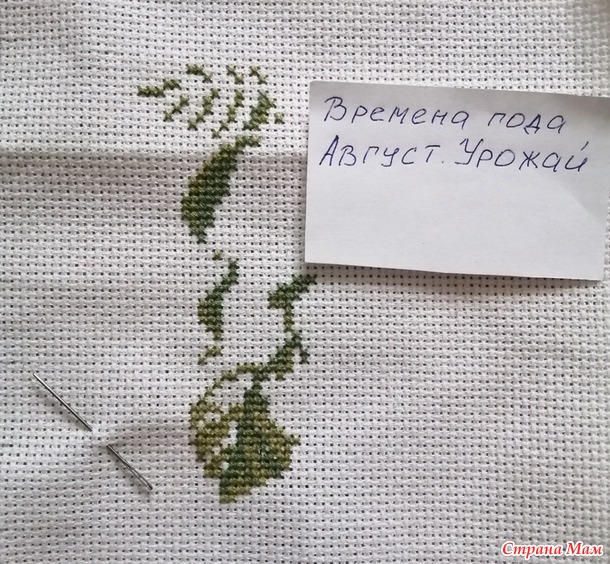 Времена года. Август. Вишни