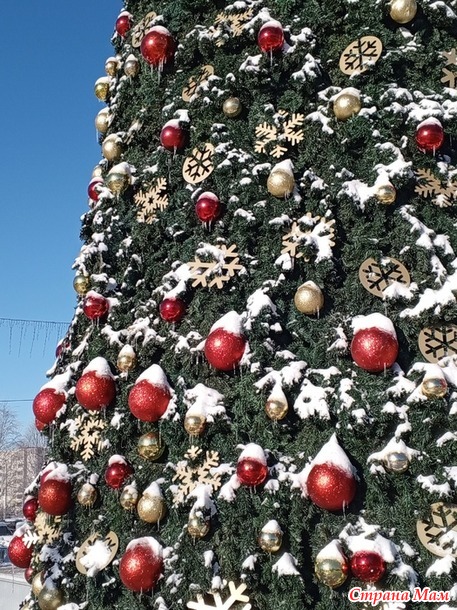 � ��� ����-����.  �����.