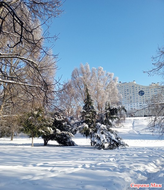 � ��� ����-����.  �����.