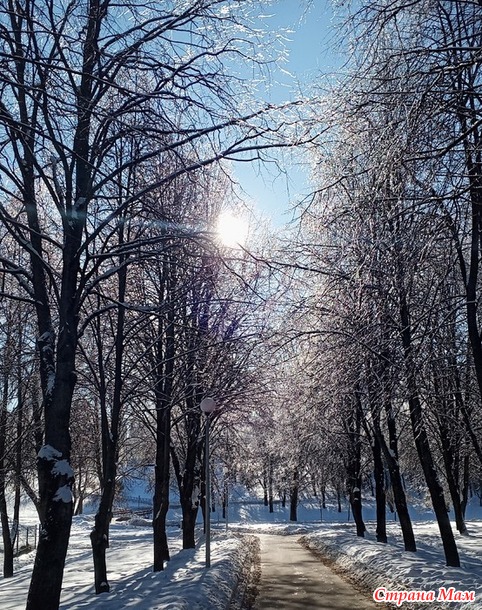 � ��� ����-����.  �����.