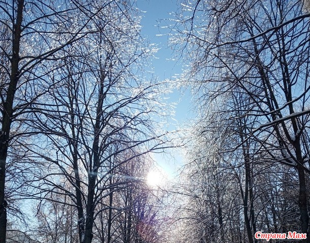 � ��� ����-����.  �����.