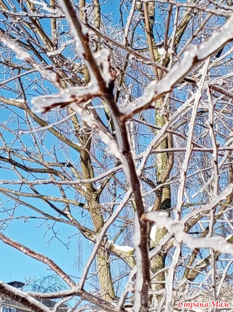 � ��� ����-����.  �����.