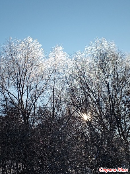 � ��� ����-����.  �����.