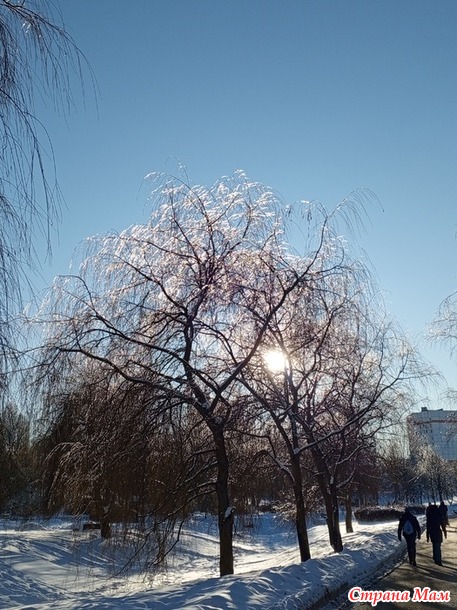 � ��� ����-����.  �����.