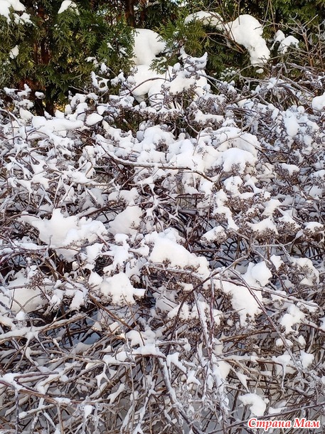 � ��� ����-����.  �����.