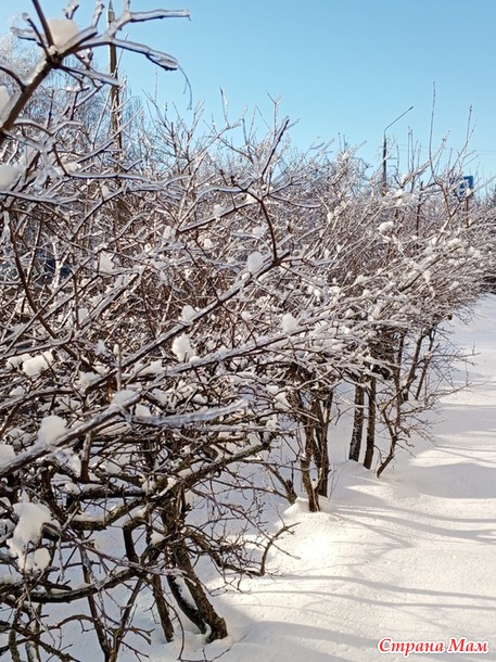 � ��� ����-����.  �����.