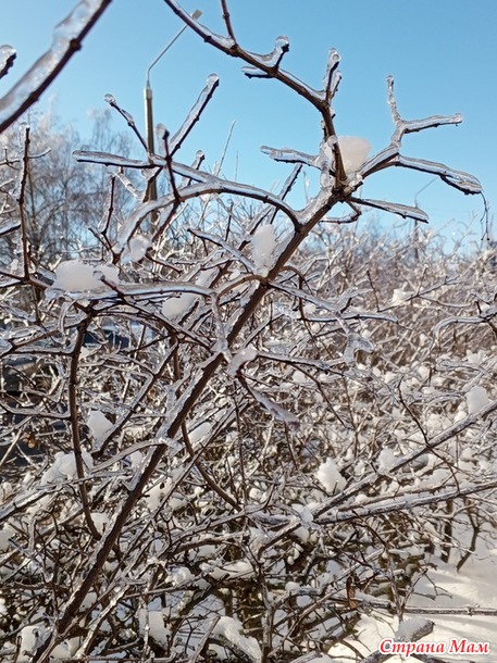 � ��� ����-����.  �����.