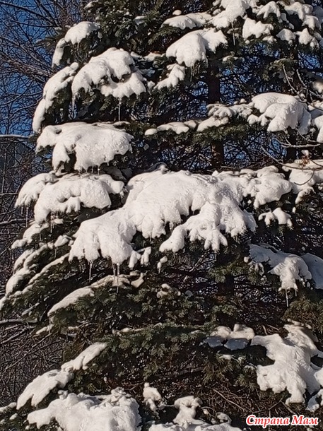 � ��� ����-����.  �����.