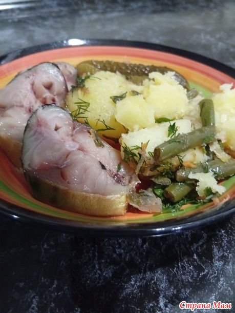 1 �������. ����� ������