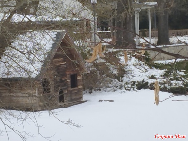 �������� �� ����� � �������