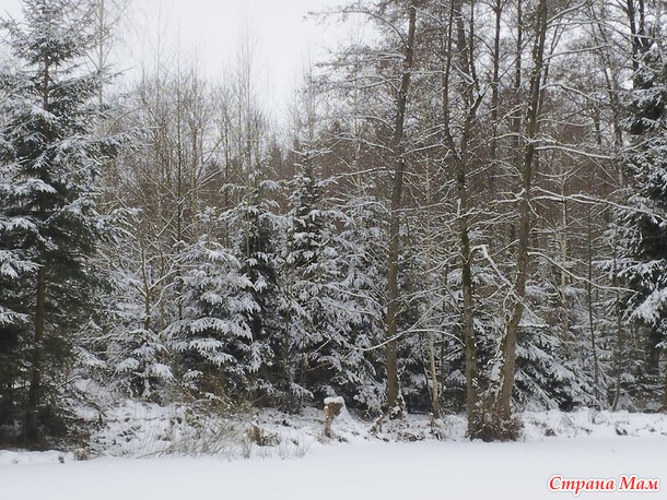 � � ��� ���� ������