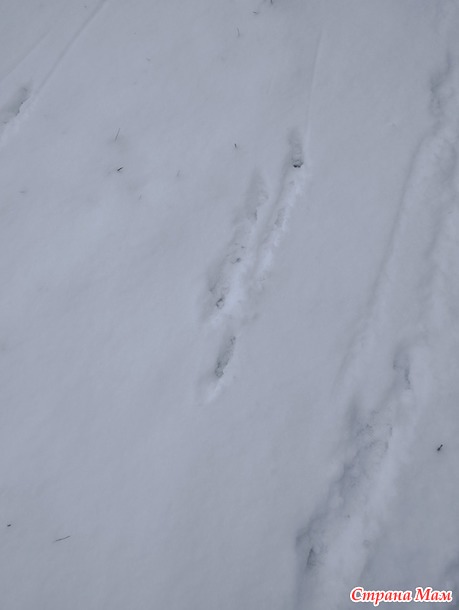 � � ��� ���� ������