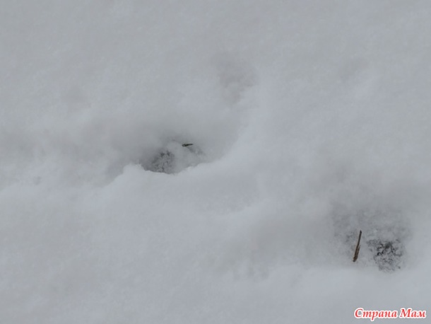 � � ��� ���� ������