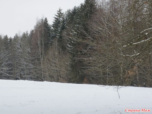 � � ��� ���� ������