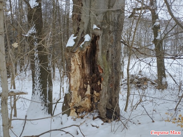 � � ��� ���� ������