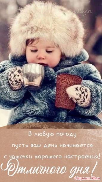 ������� ����������. ������ 2026