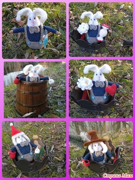 ������� ���� ������� ����� Freccia