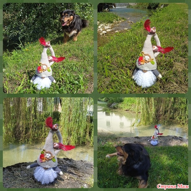 ������� ���� ������� ����� Freccia