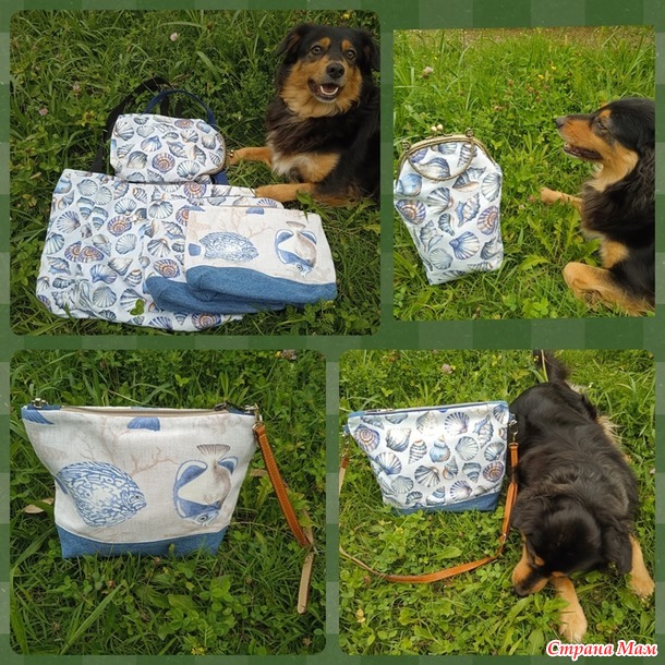 ������� ���� ������� ����� Freccia