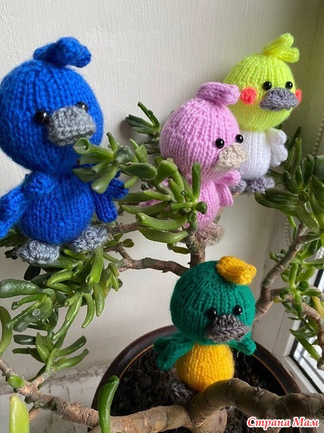 � �� ������ ��������� ��������?