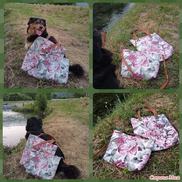 ������� ���� ������� ����� Freccia