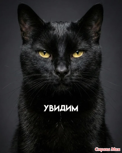 ��������� �����!))