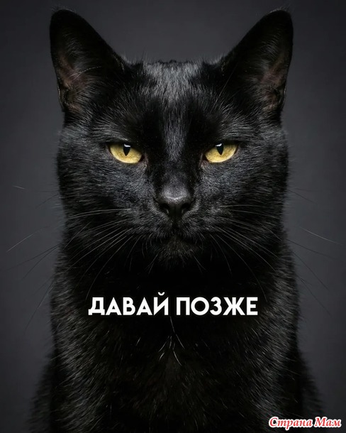 ��������� �����!))