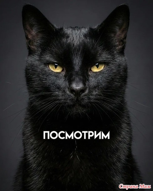 ��������� �����!))