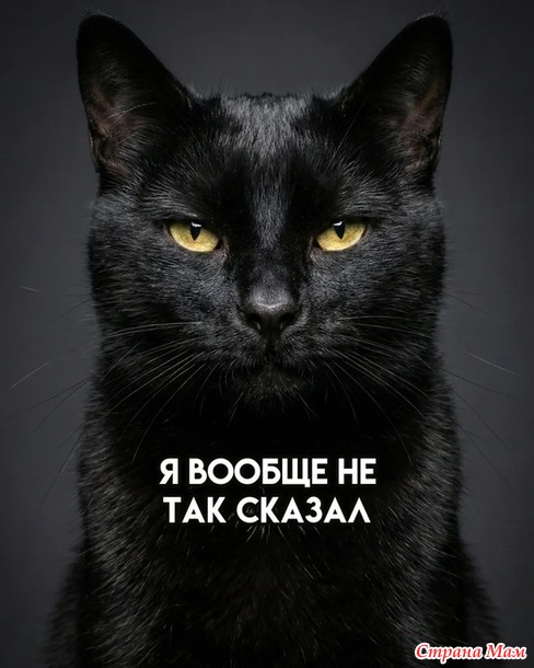 ��������� �����!))