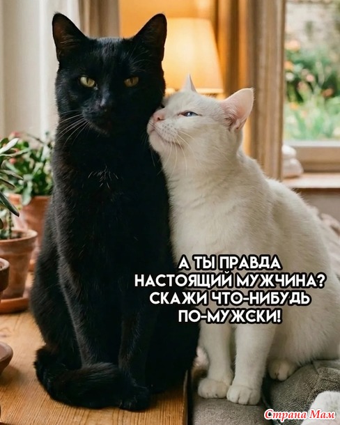 ��������� �����!))