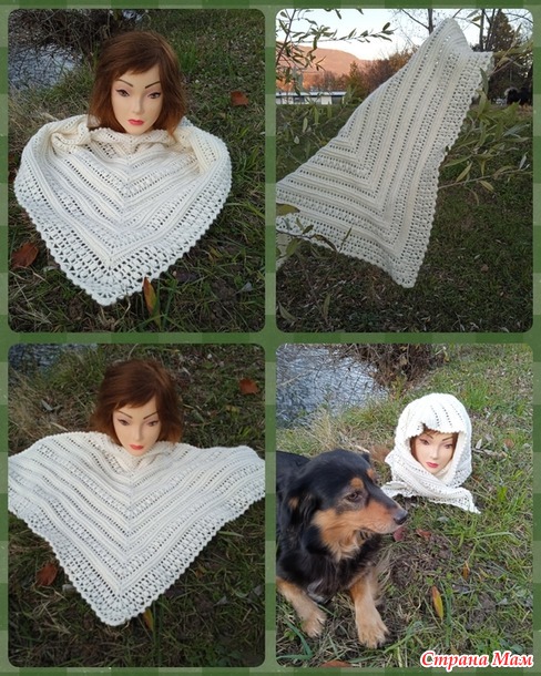 ������� ���� ������� ����� Freccia