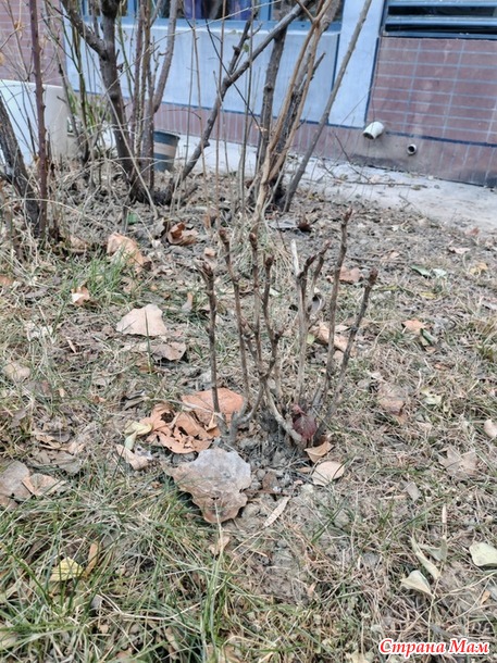 � ����������!