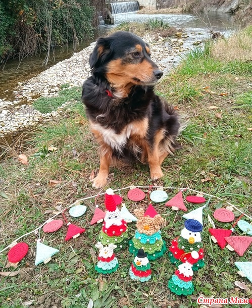 ������� ����. �������. ������� ������ �������