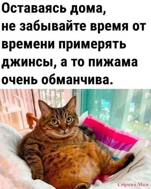 ����� ���.