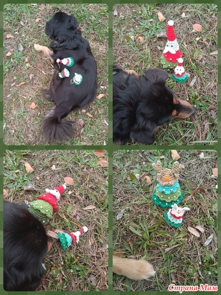 ������� ����. �������. ������� ������ �������