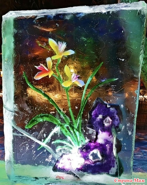 � ����������!